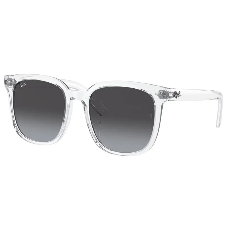 Ray Ban 0RB4401D
