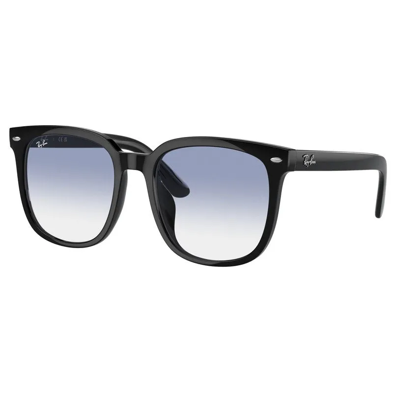 Ray Ban 0RB4401D