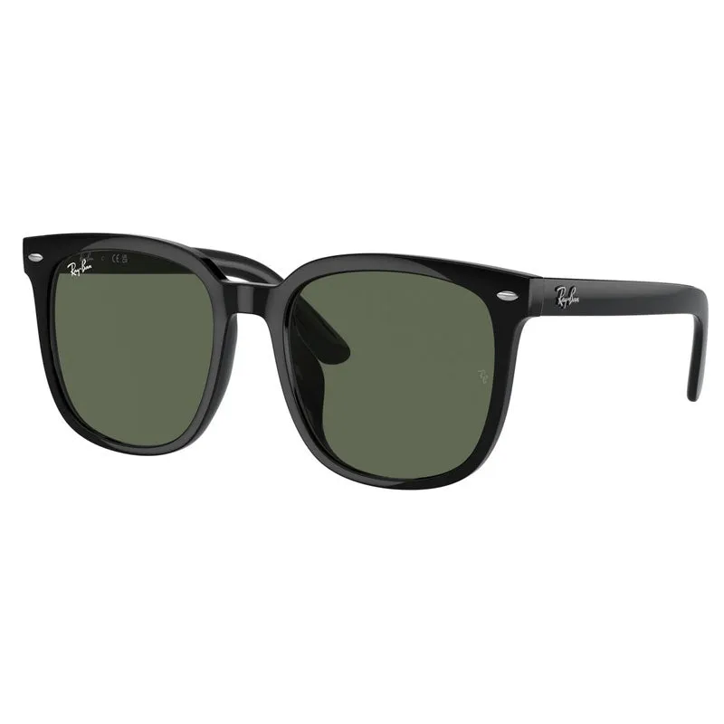 Ray Ban 0RB4401D