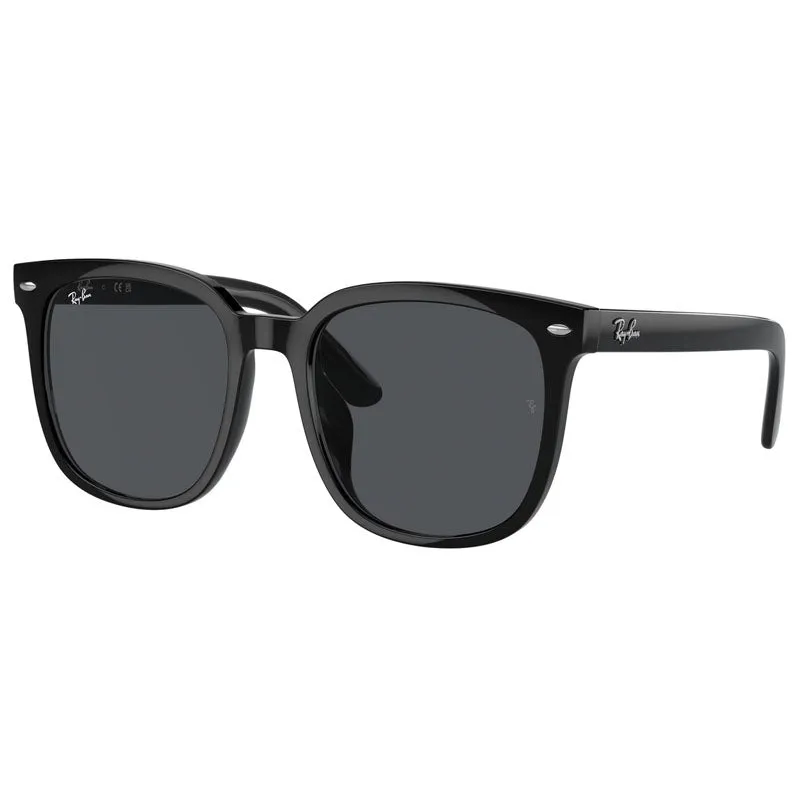 Ray Ban 0RB4401D