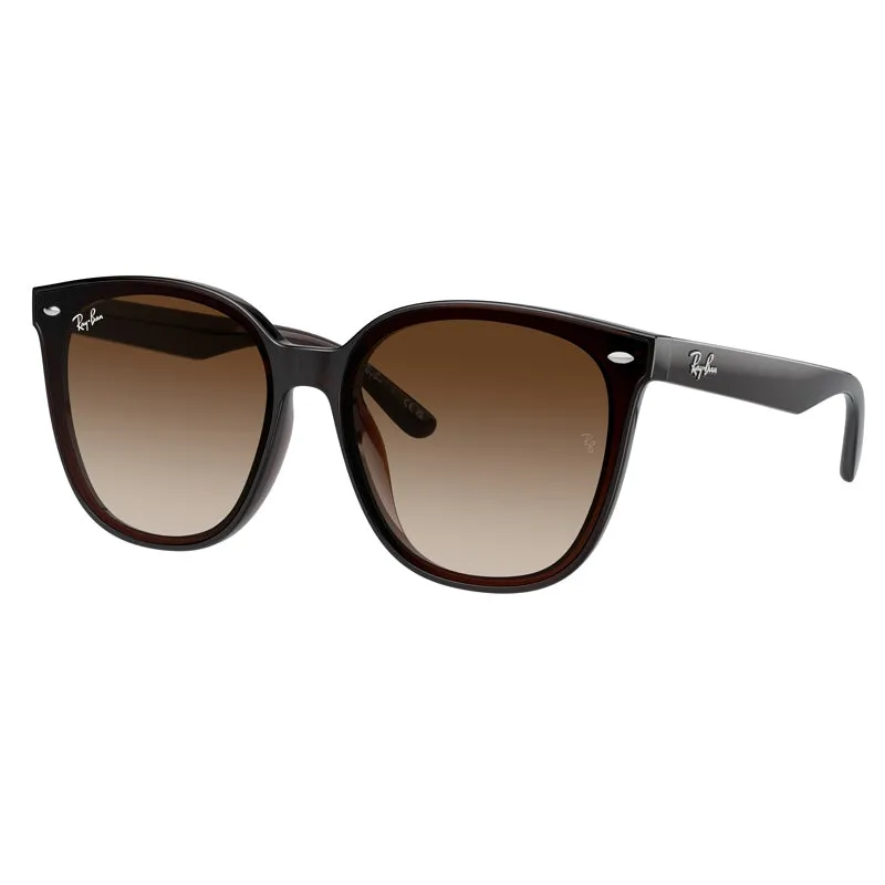 Ray Ban 0RB4423D