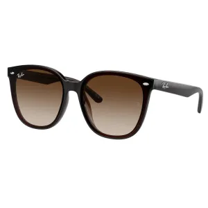 Ray Ban 0RB4423D