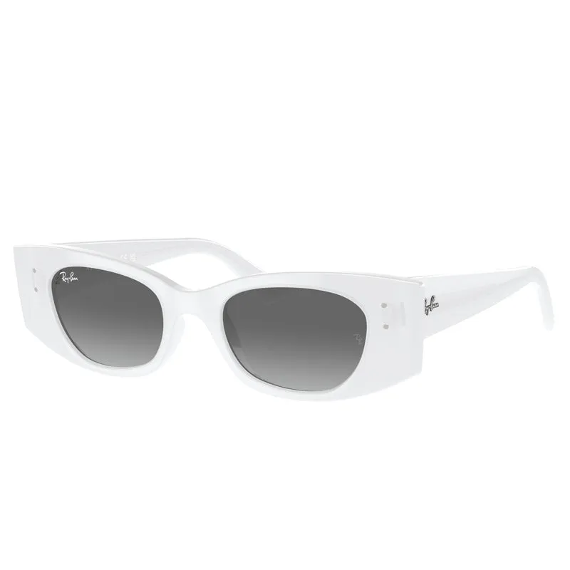Ray Ban 0RB4427
