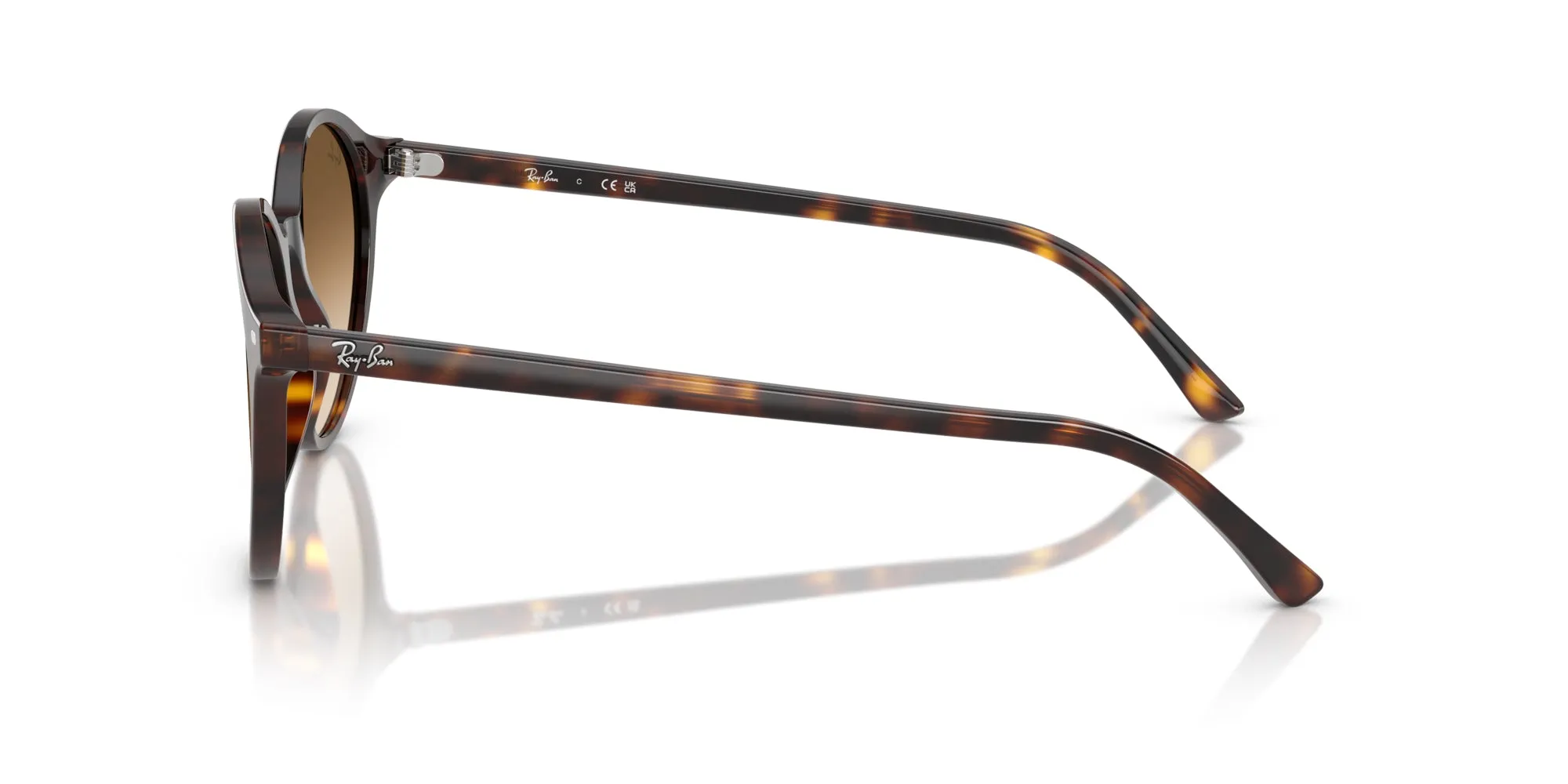 Ray-Ban Bernard RB2230