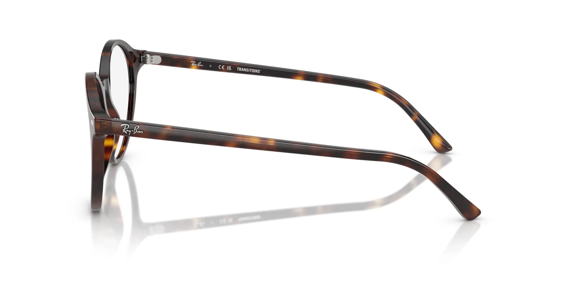 Ray-Ban Bernard RB2230