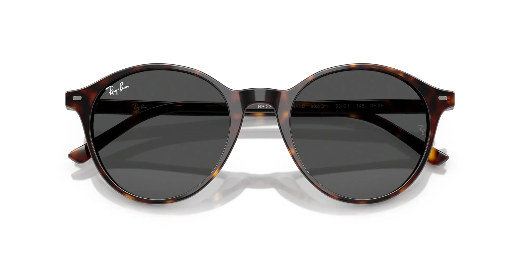Ray-Ban Bernard RB2230