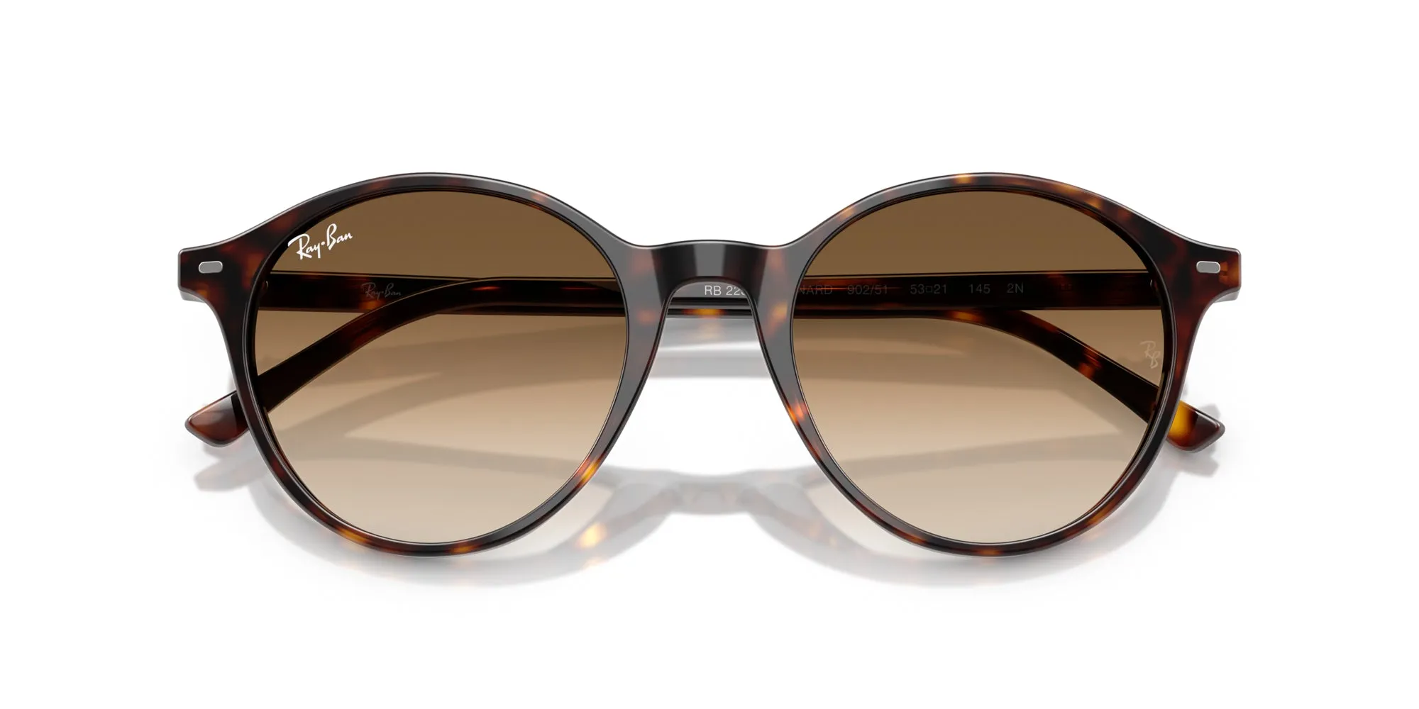 Ray-Ban Bernard RB2230