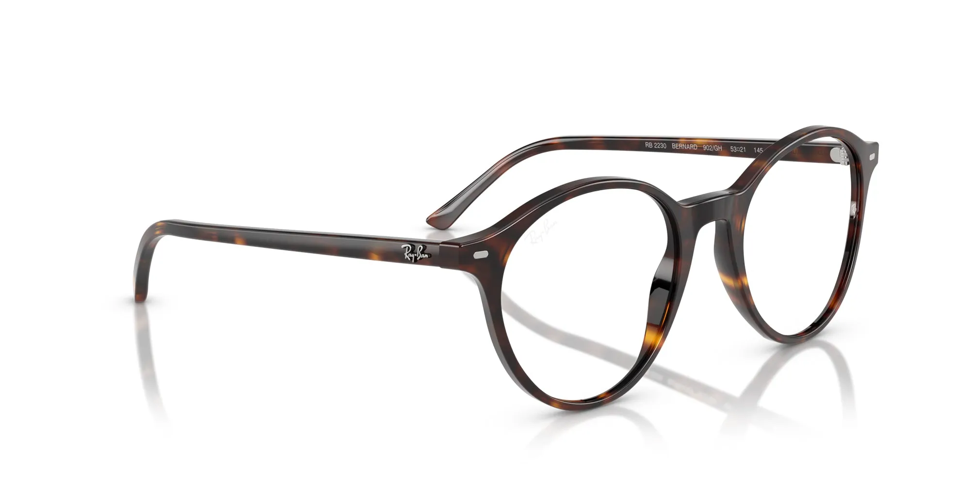 Ray-Ban Bernard RB2230