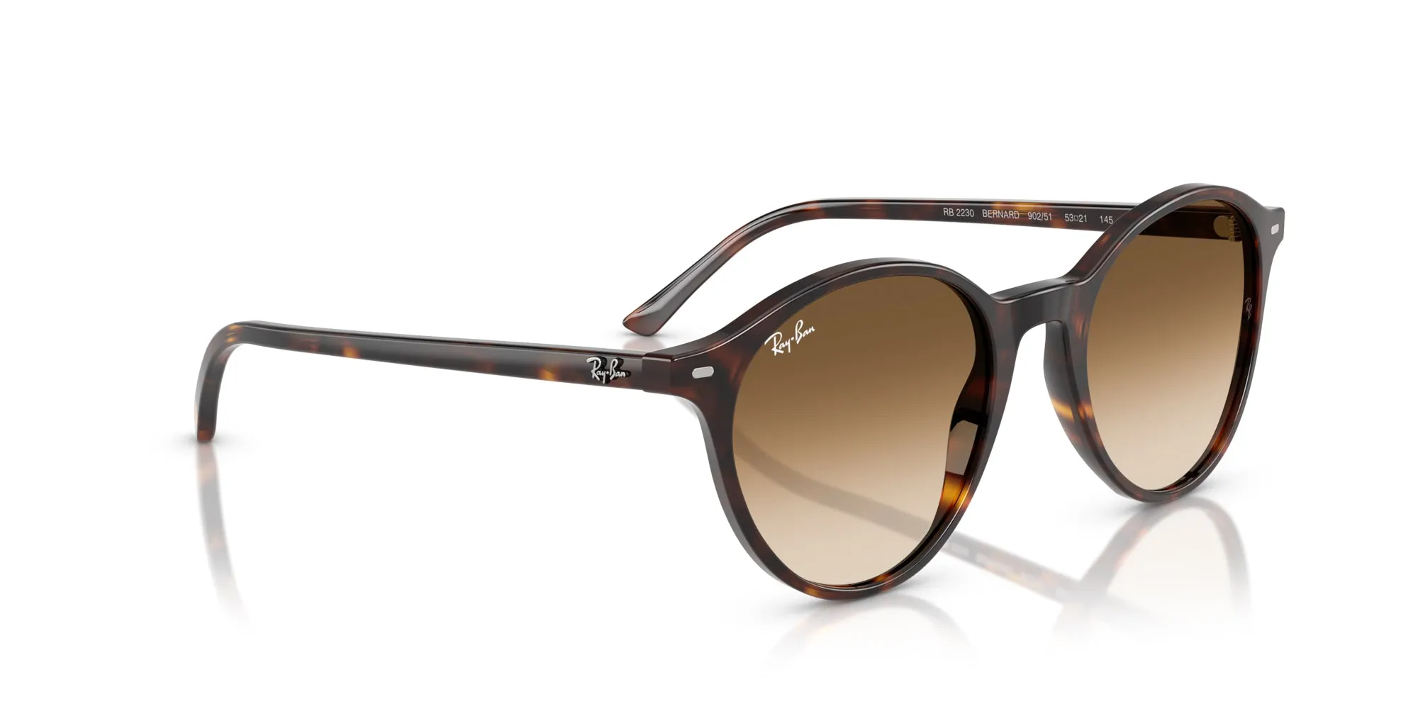 Ray-Ban Bernard RB2230
