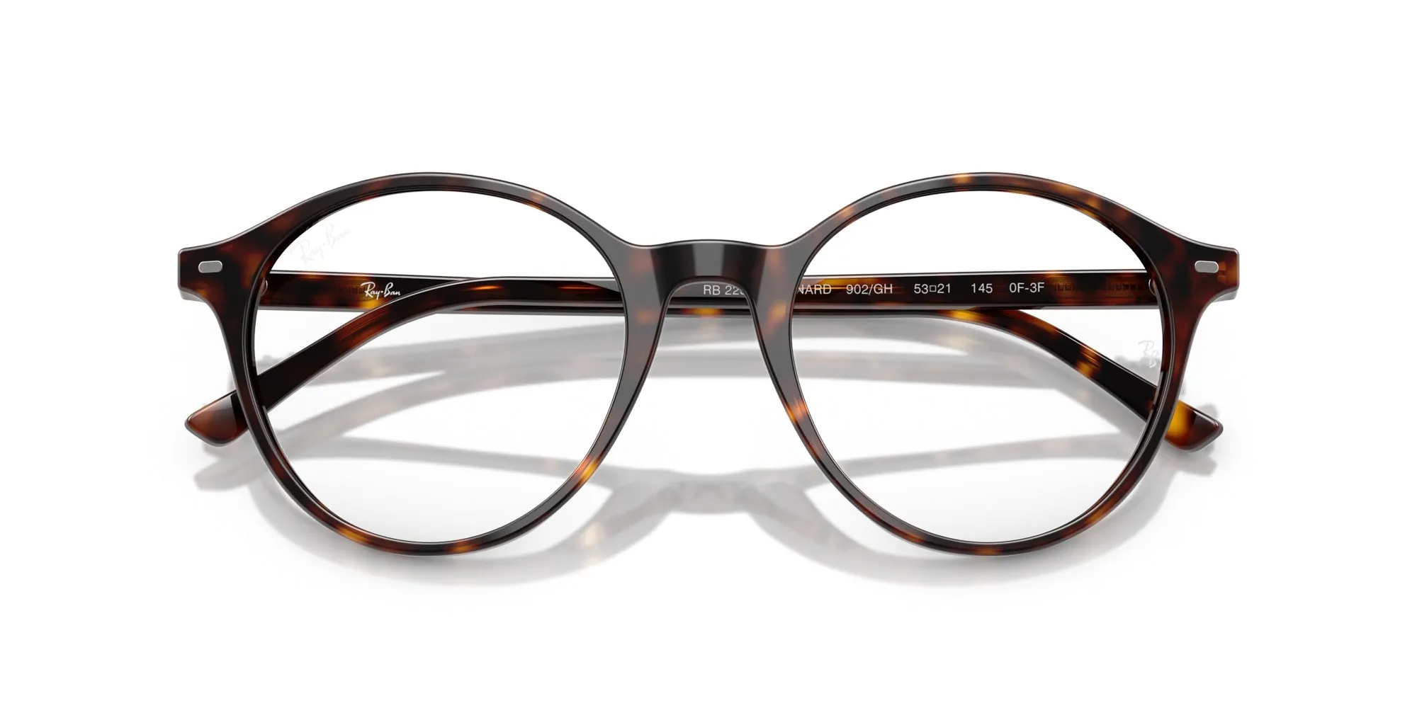 Ray-Ban Bernard RB2230