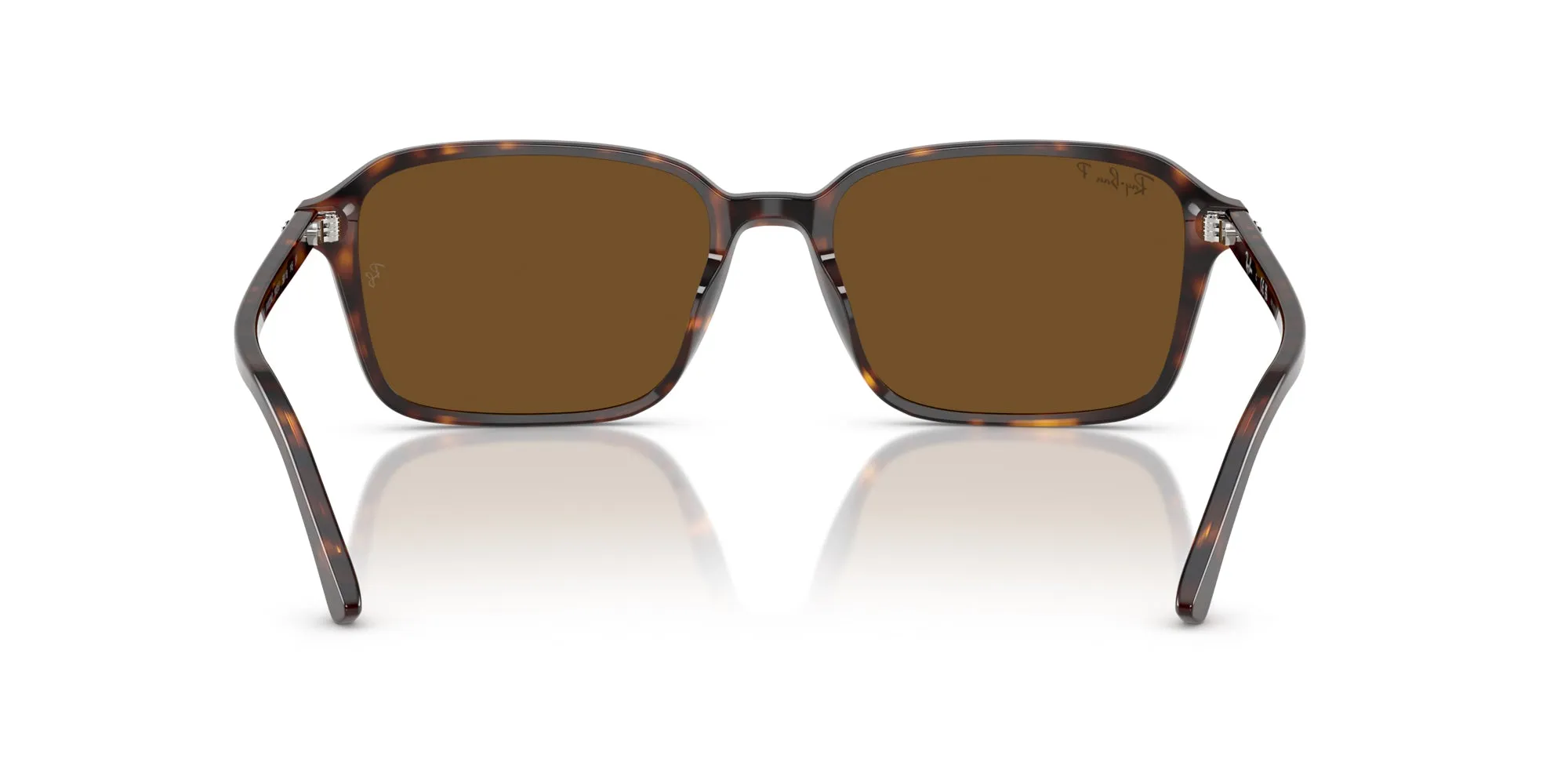 Ray-Ban Raimond RB2231