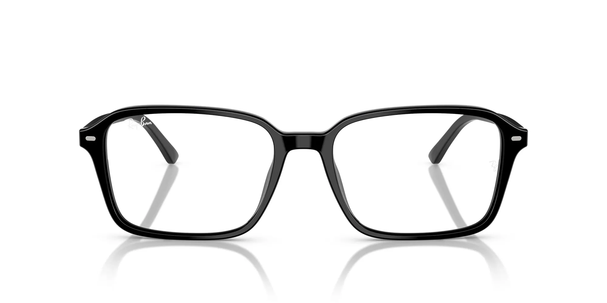 Ray-Ban Raimond RB2231