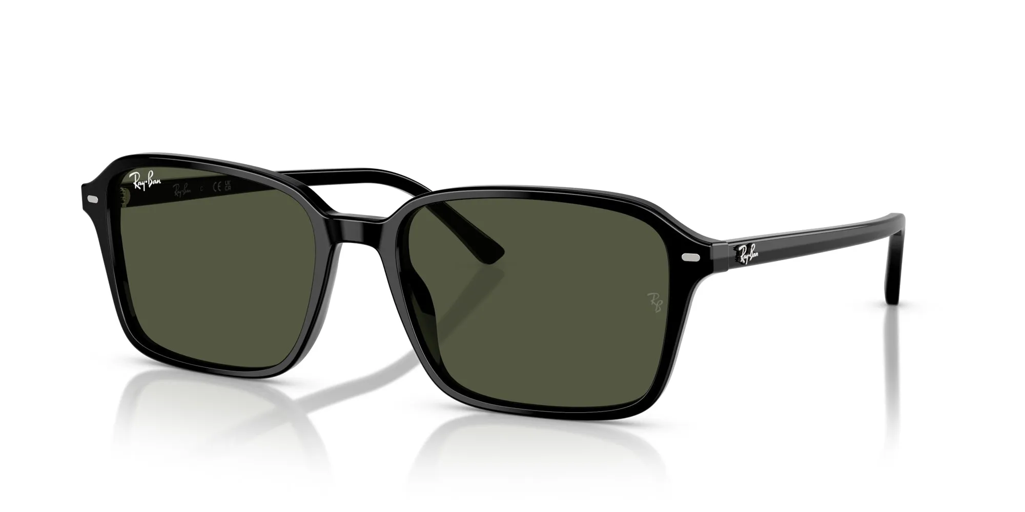 Ray-Ban Raimond RB2231