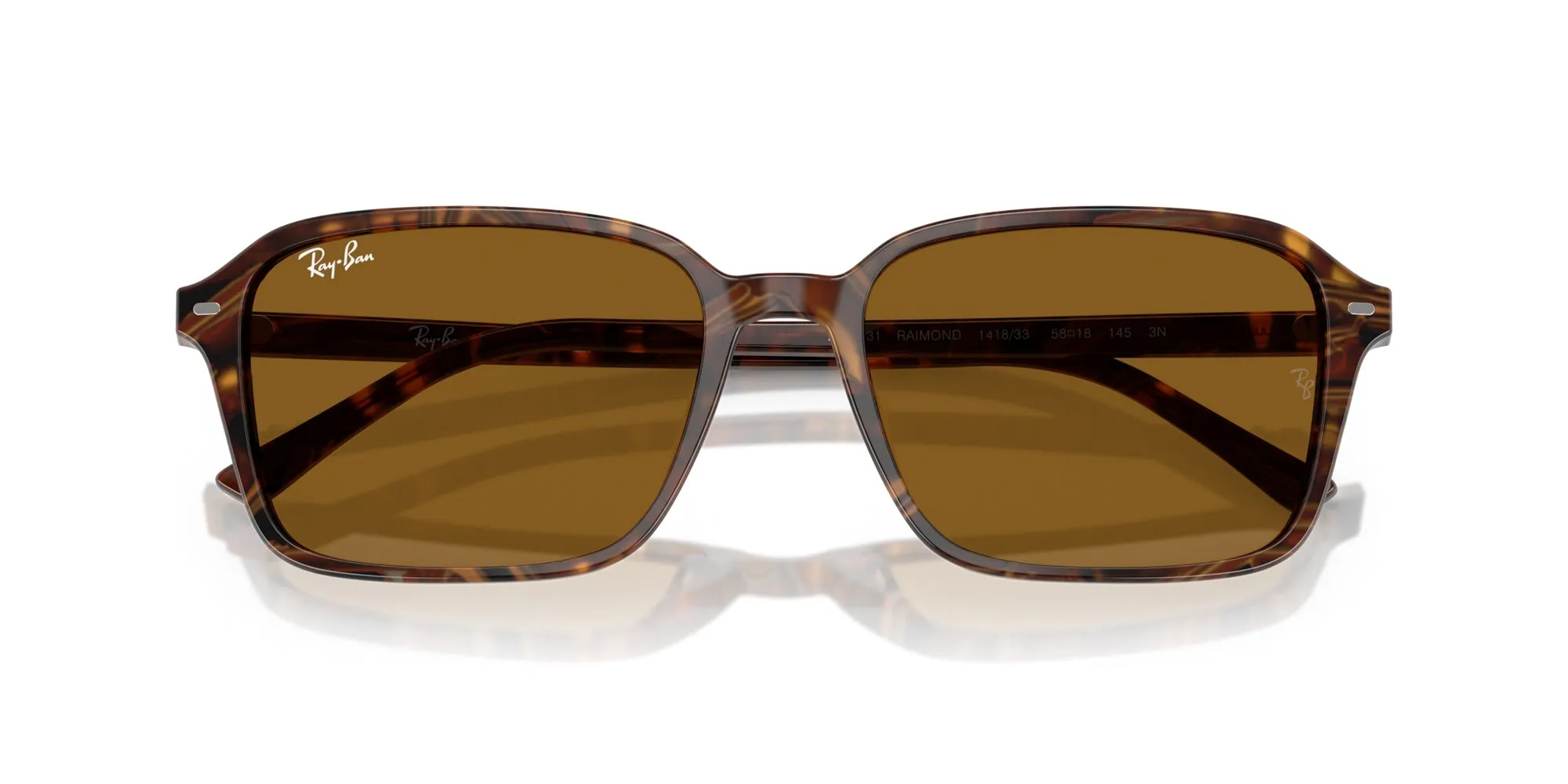 Ray-Ban Raimond RB2231