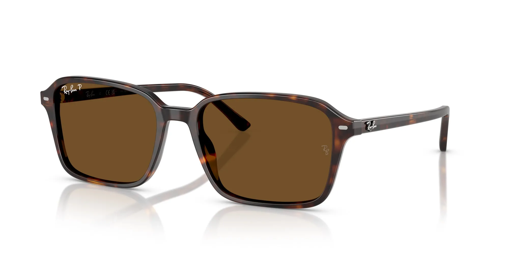 Ray-Ban Raimond RB2231