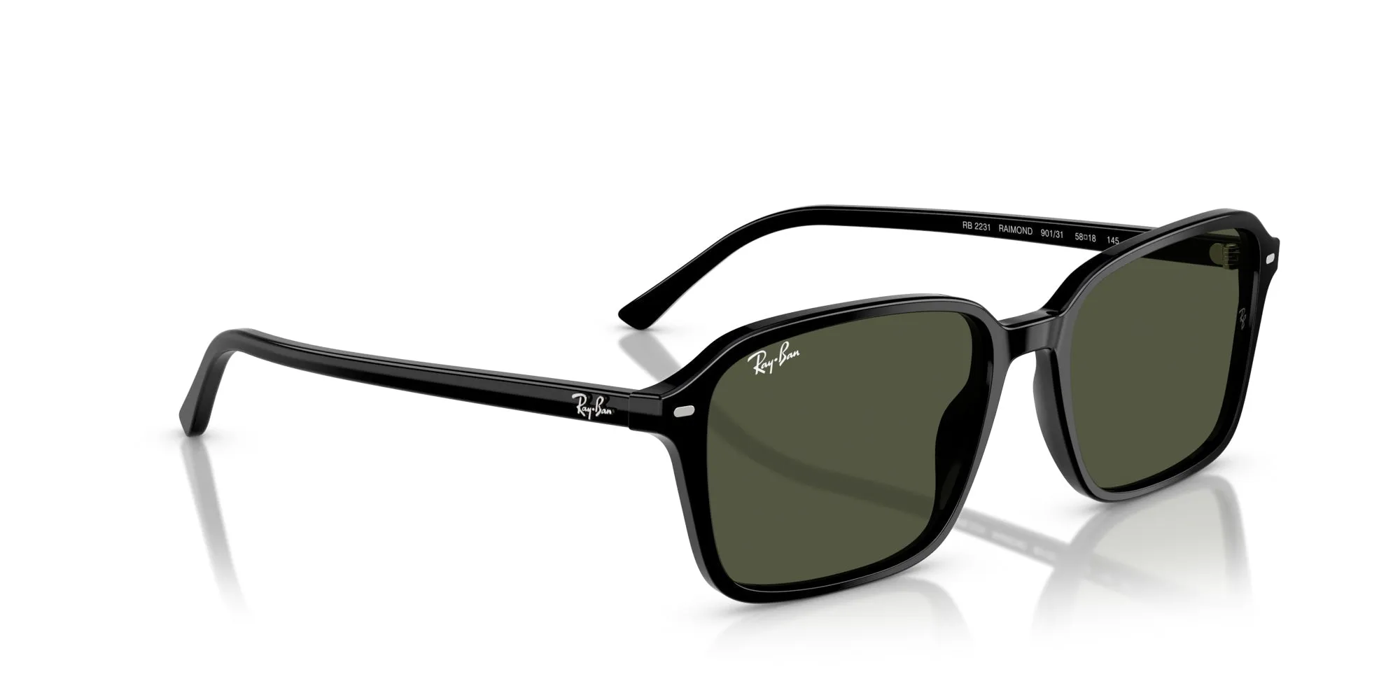 Ray-Ban Raimond RB2231