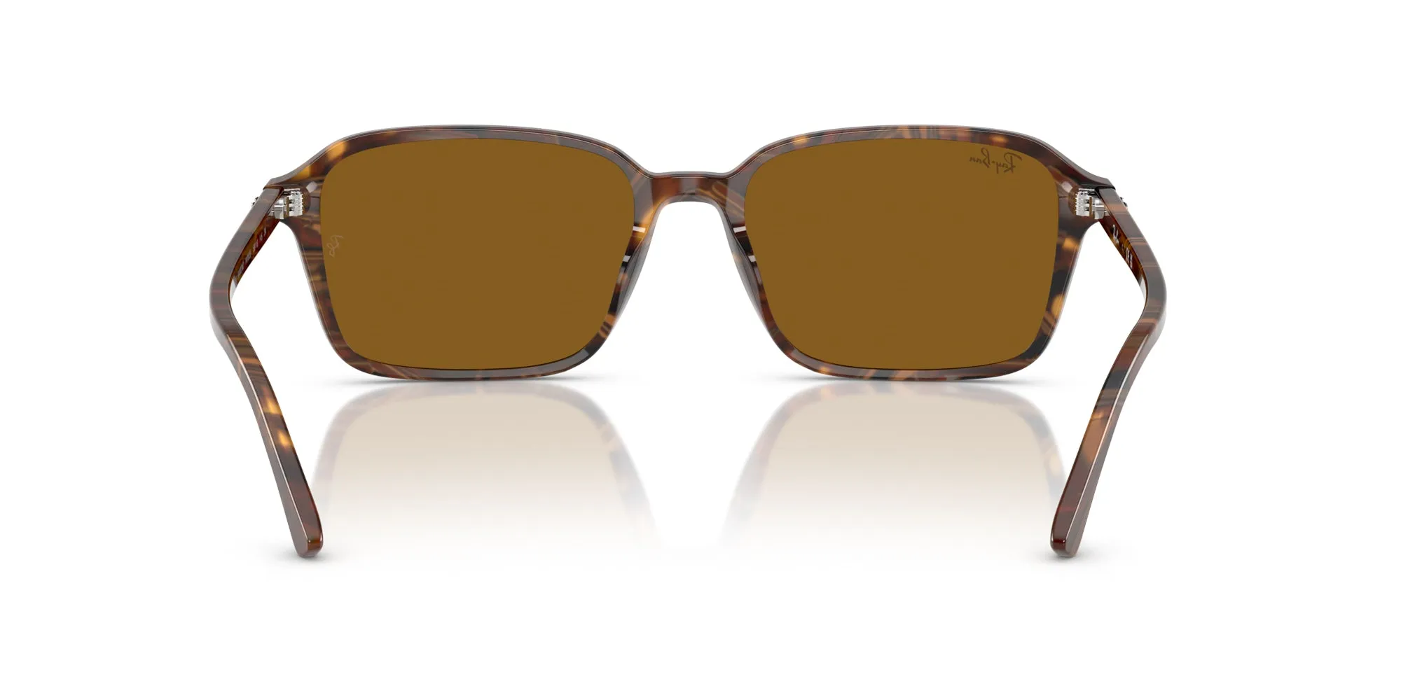 Ray-Ban Raimond RB2231