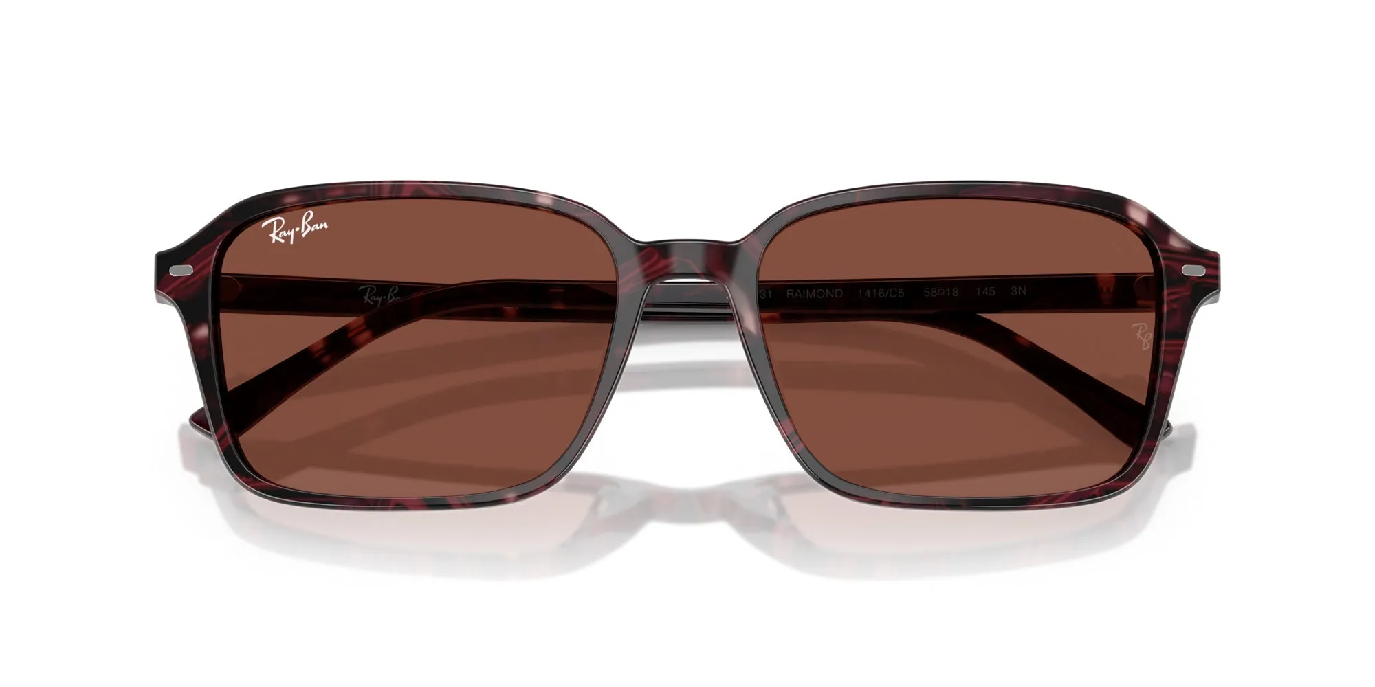 Ray-Ban Raimond RB2231