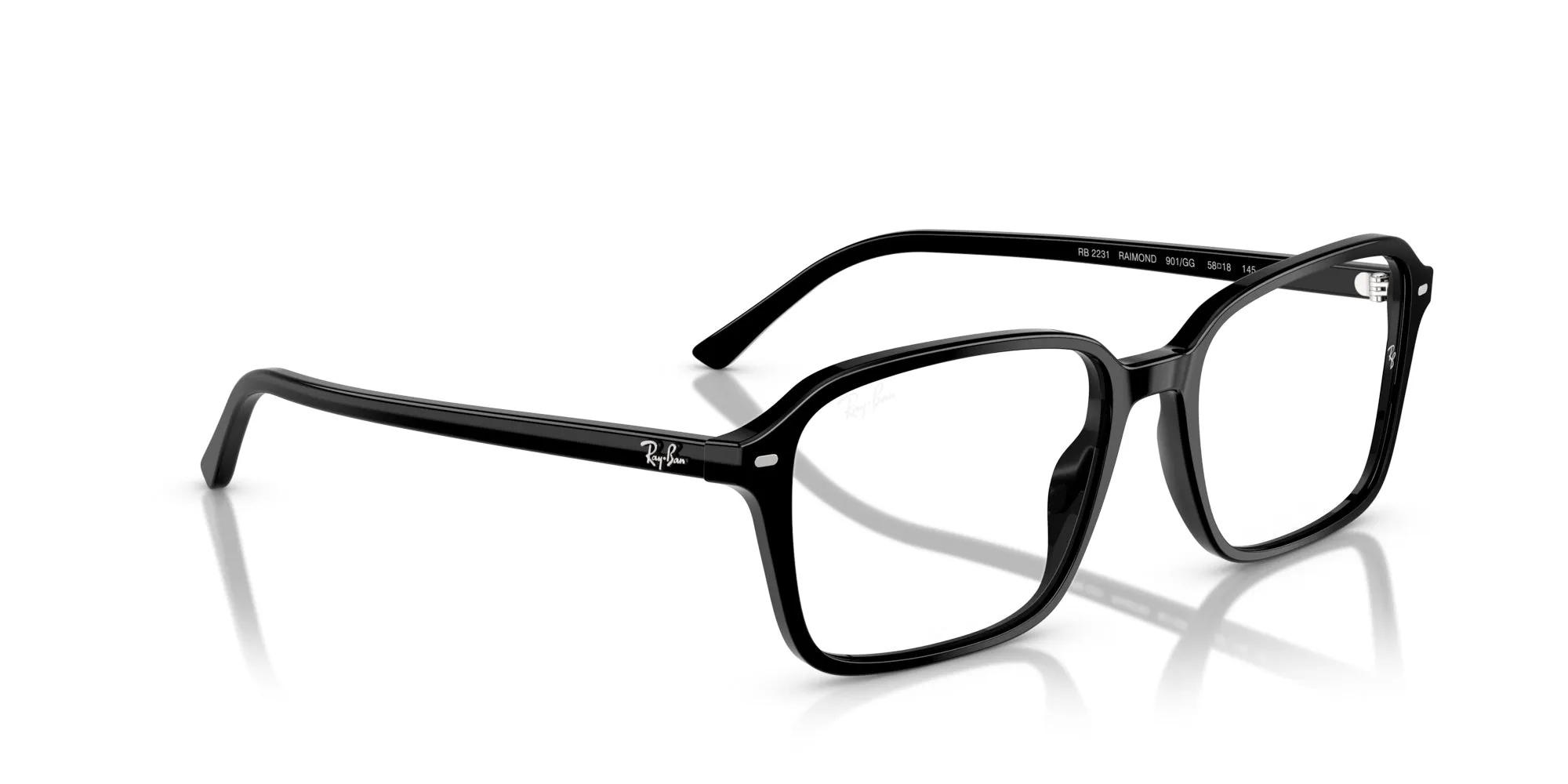 Ray-Ban Raimond RB2231