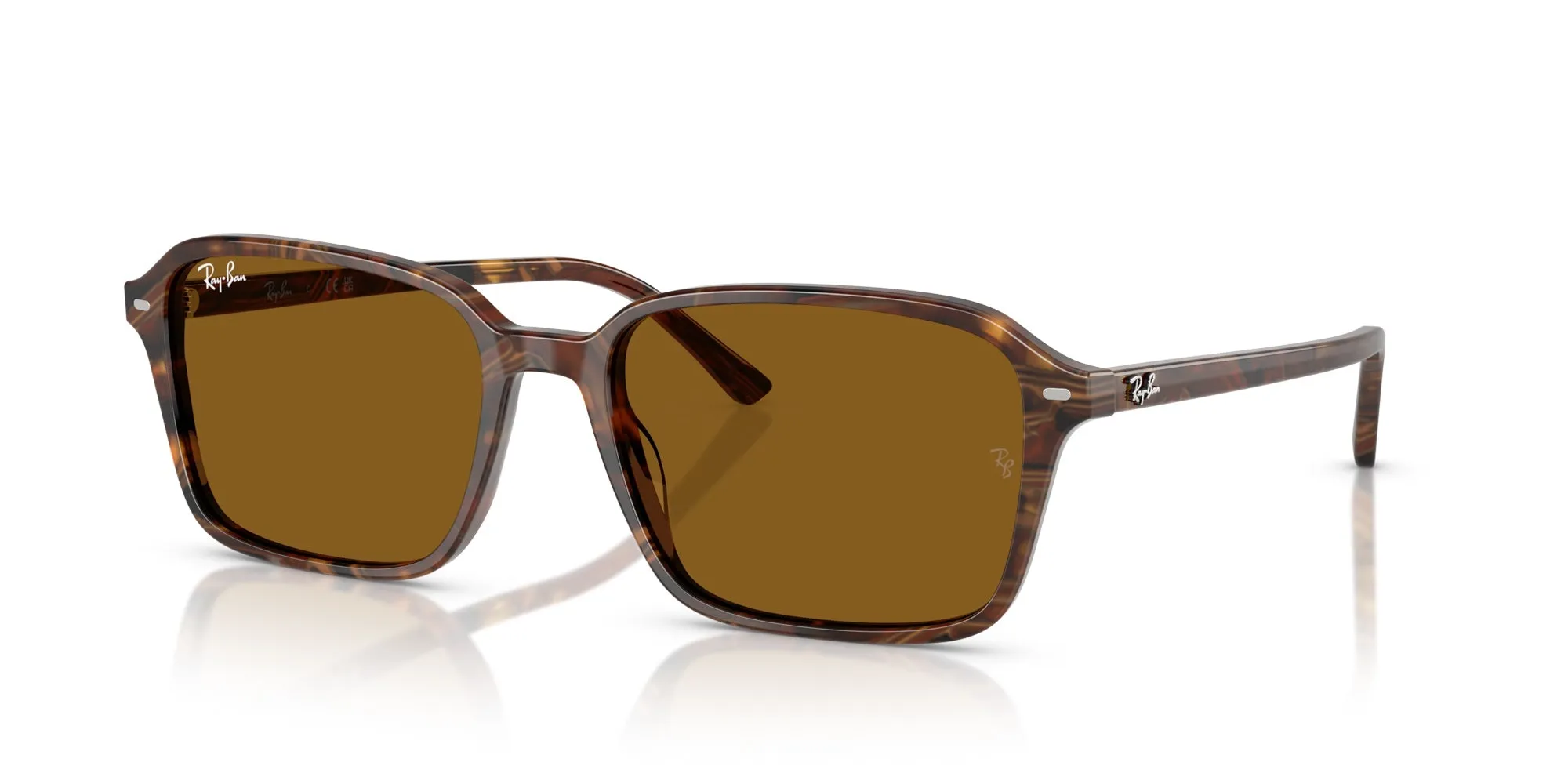 Ray-Ban Raimond RB2231