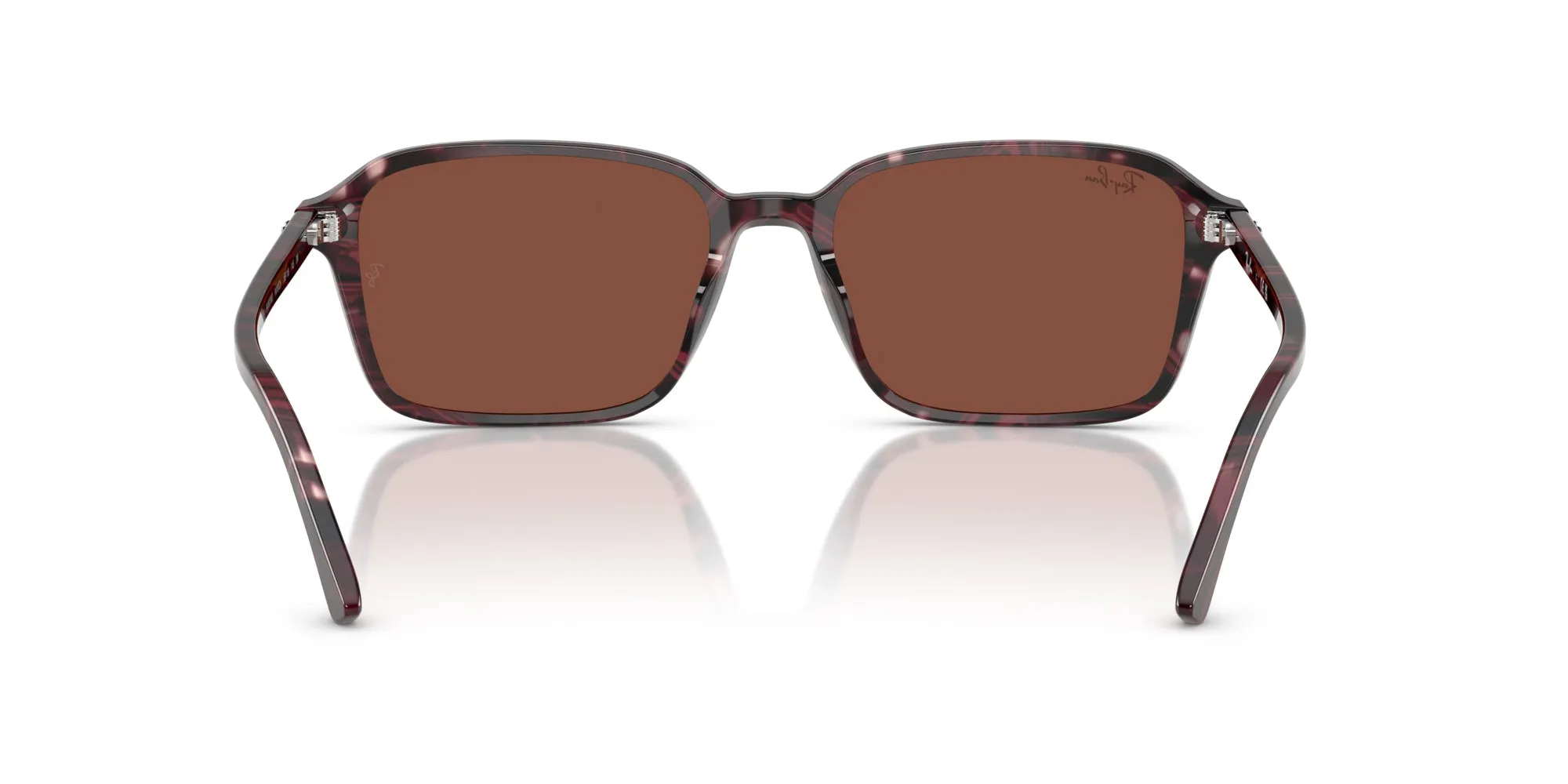 Ray-Ban Raimond RB2231