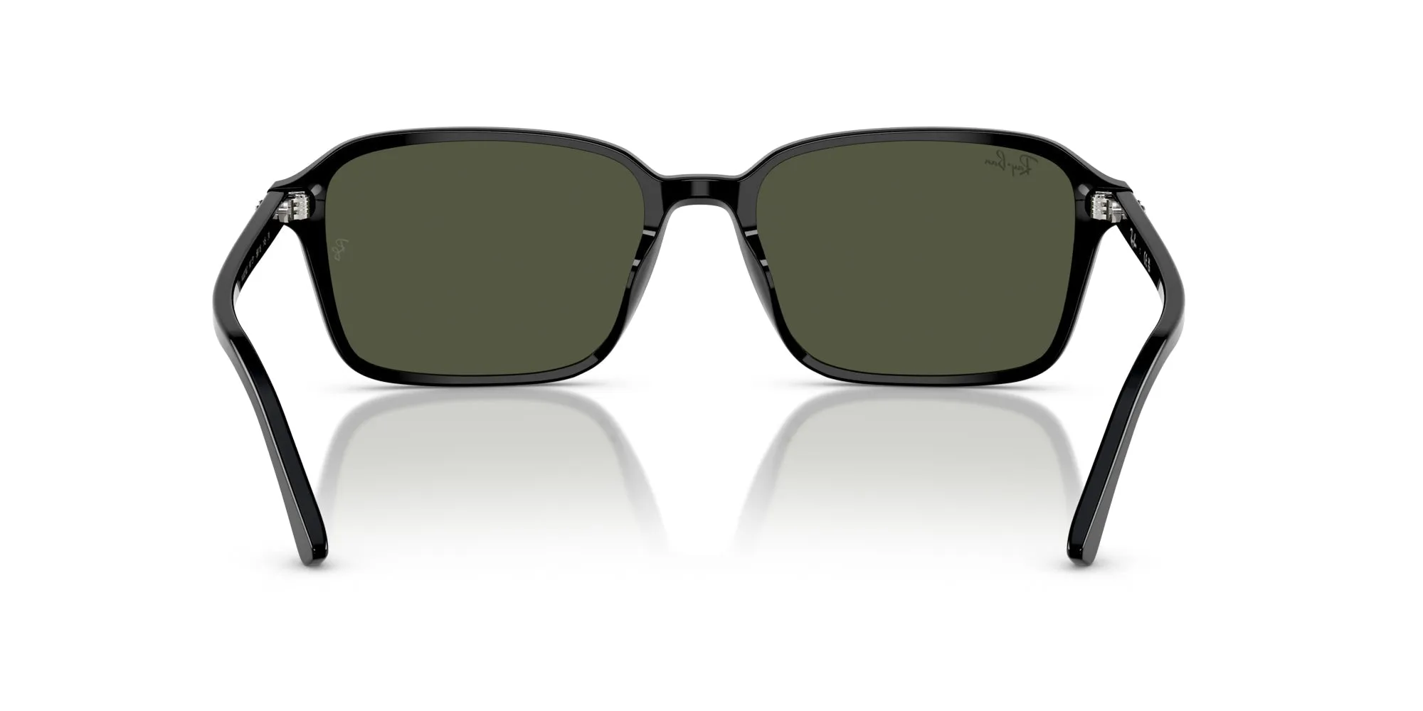 Ray-Ban Raimond RB2231