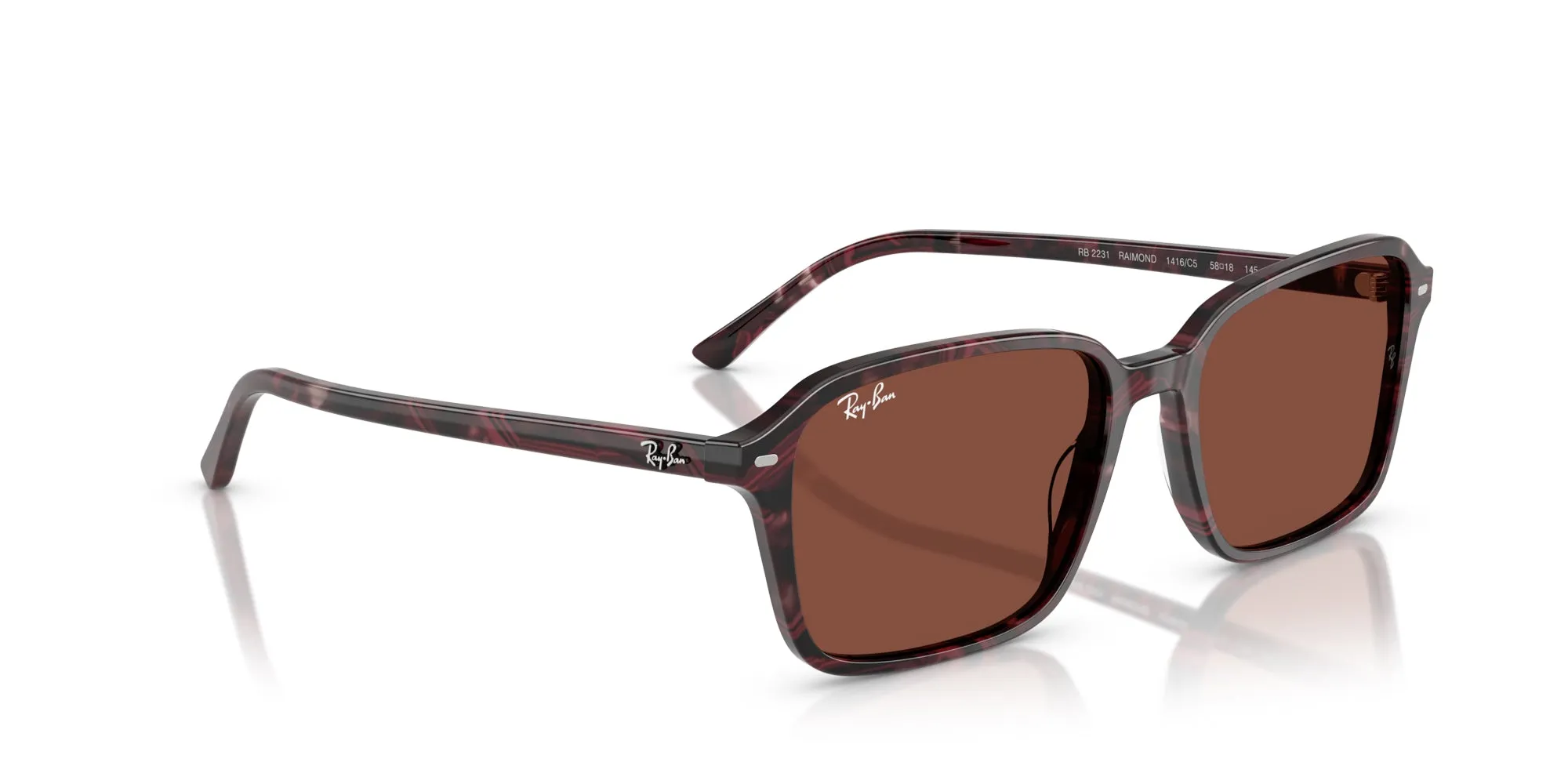 Ray-Ban Raimond RB2231