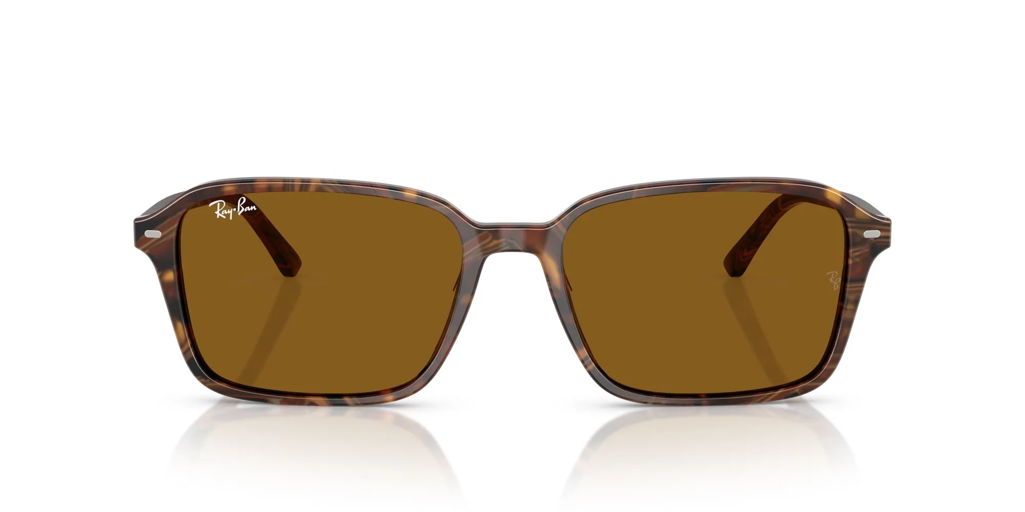 Ray-Ban Raimond RB2231