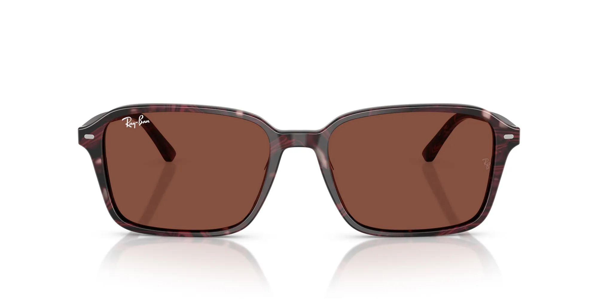 Ray-Ban Raimond RB2231