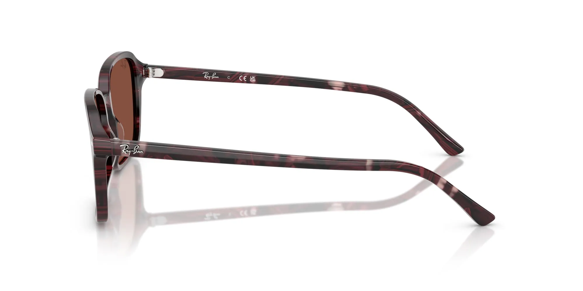 Ray-Ban Raimond RB2231