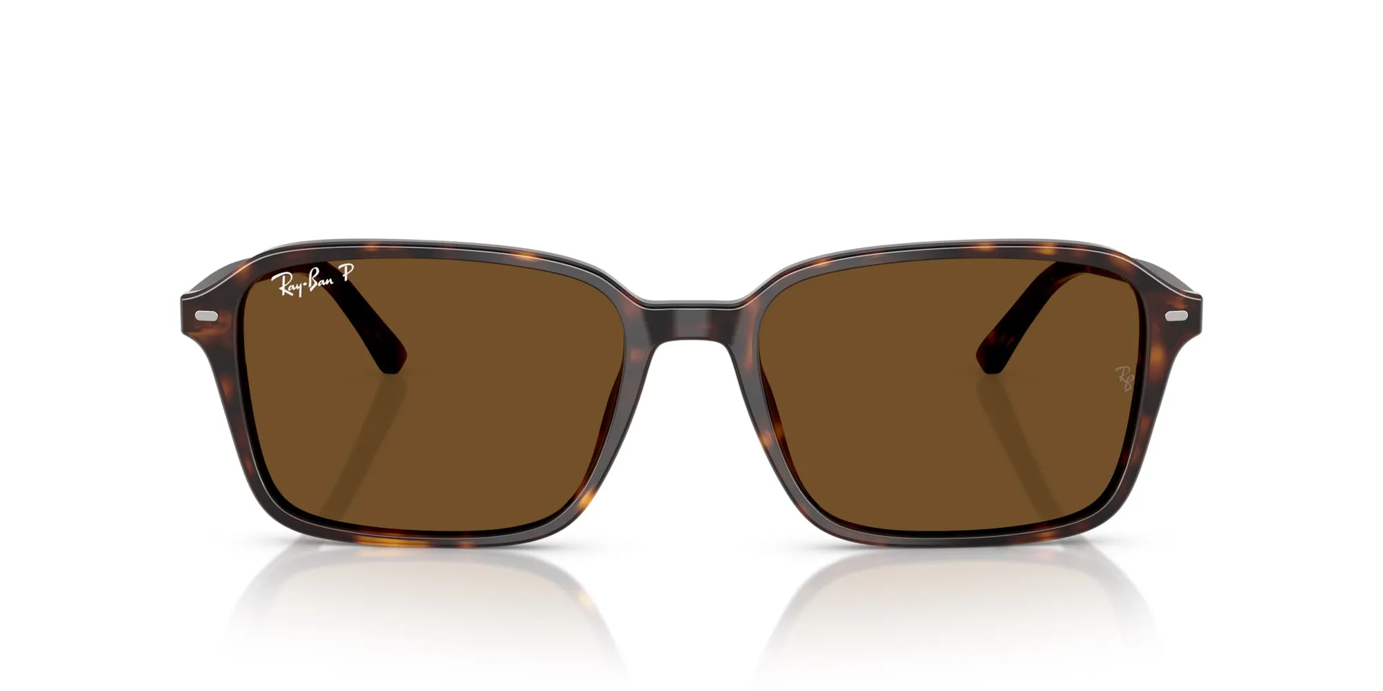 Ray-Ban Raimond RB2231