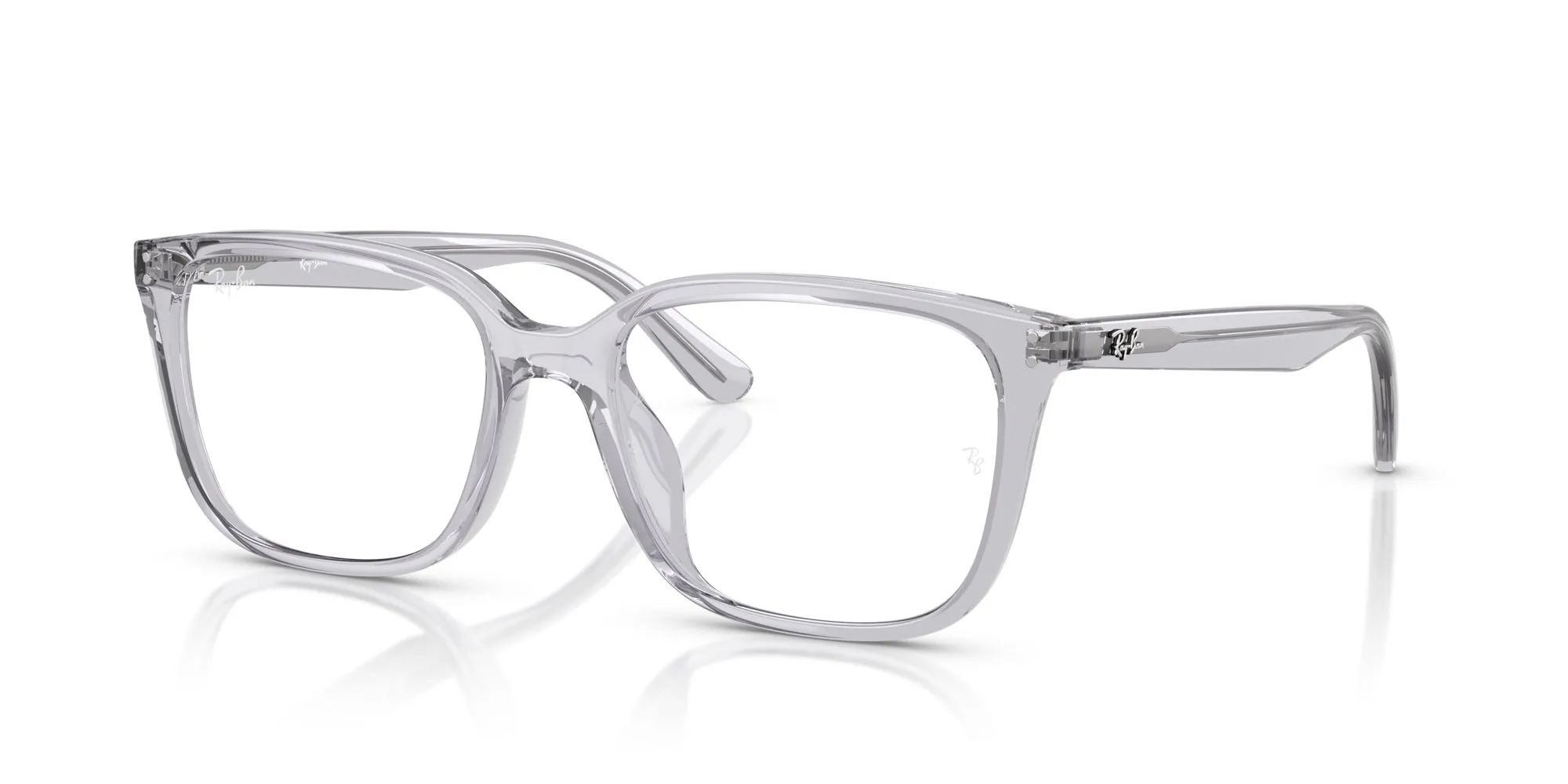 Ray-Ban RB7248D